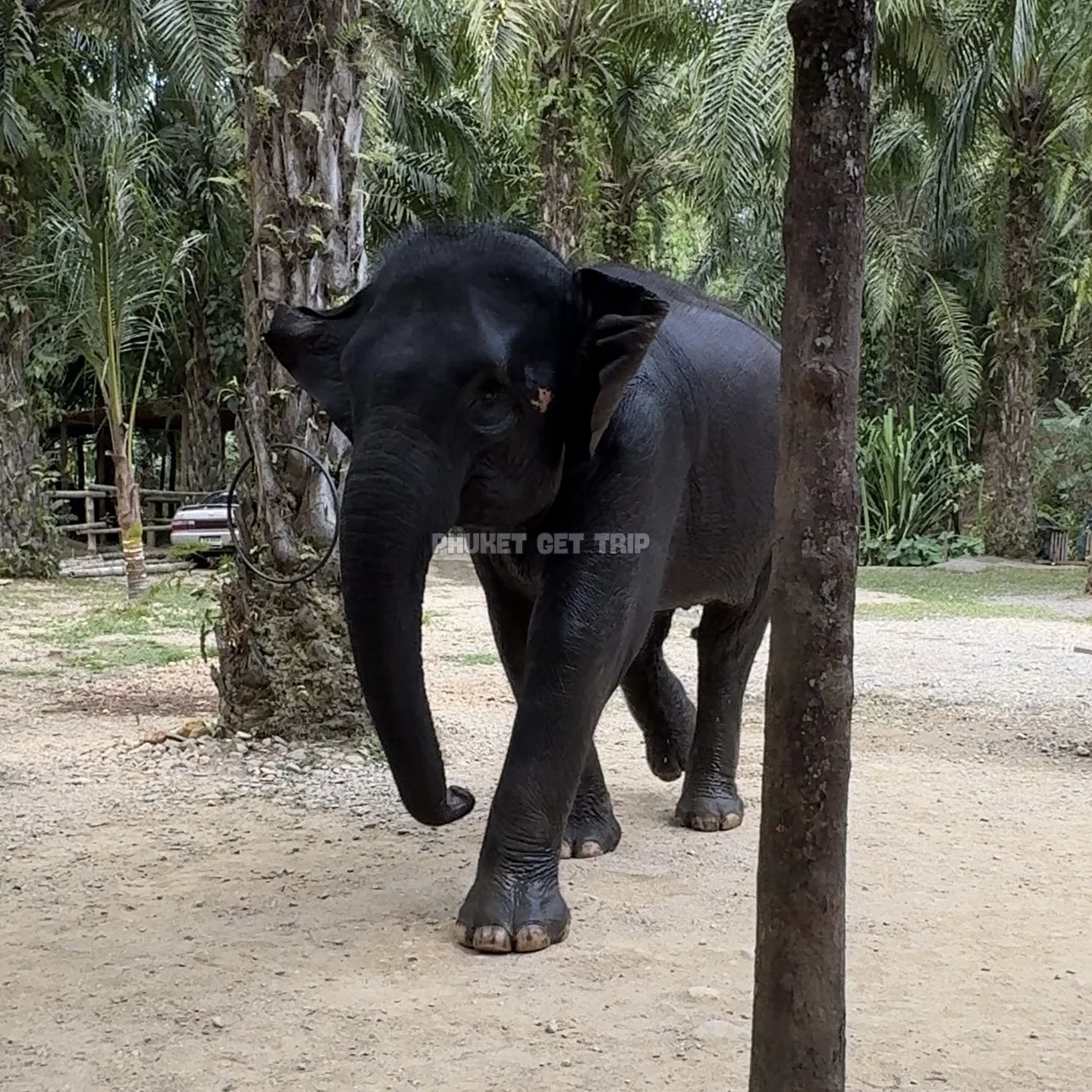 Као Лак + купание слонов из Као Лак